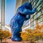 Blue_Bear