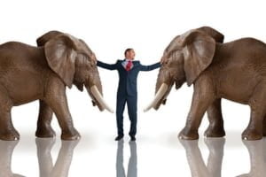 ConflictElephants